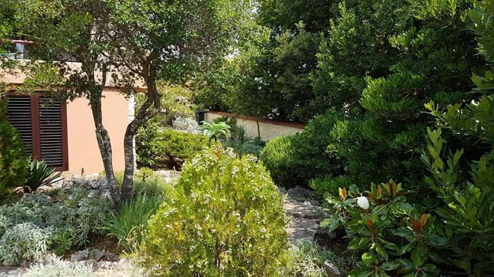 Apartments Villa Temer Pinezići Εξωτερικό φωτογραφία