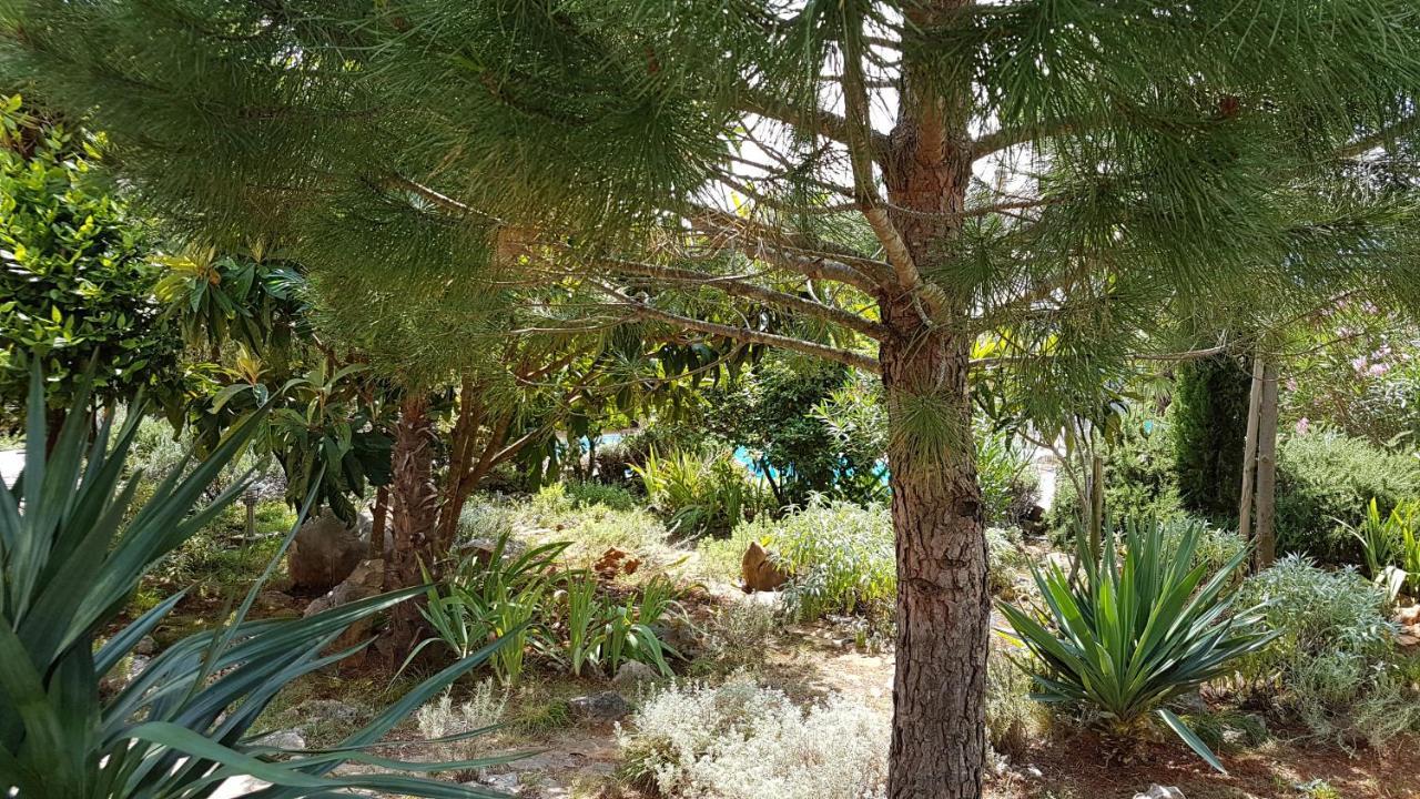 Apartments Villa Temer Pinezići Εξωτερικό φωτογραφία